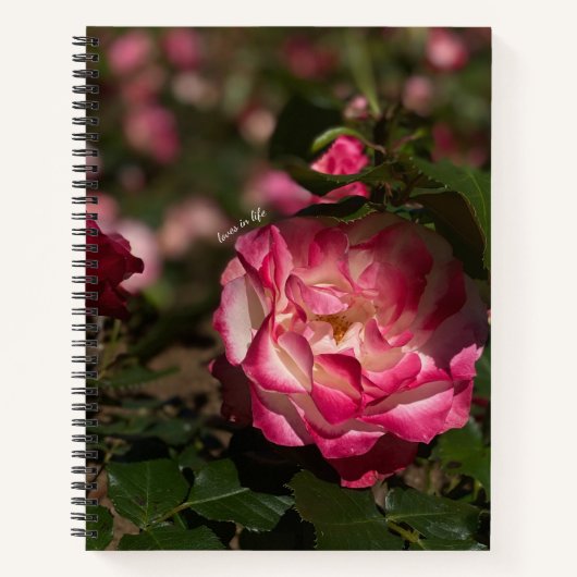 Carnet Rose & Rose blanche, Housse rigide (Devant)