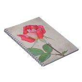 Carnet Rose Rose Bud Art de Gertie's Garden (Côté Droit)