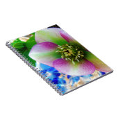 Carnet Rose rose carême bleu boule de verre (Côté Droit)