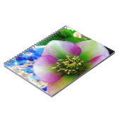 Carnet Rose rose carême bleu boule de verre (Côté gauche)