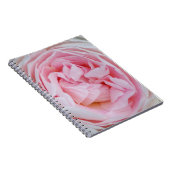 Carnet Rose rose Fleur Roses roses roses rose pétales Fle (Côté Droit)