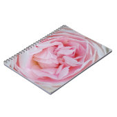 Carnet Rose rose Fleur Roses roses roses rose pétales Fle (Côté gauche)
