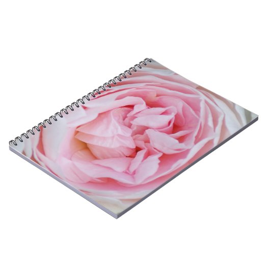 Carnet Rose rose Fleur Roses roses roses rose pétales Fle (Côté gauche)