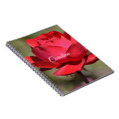 Carnet Rose rouge (Côté Droit)