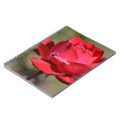 Carnet Rose rouge (Côté gauche)