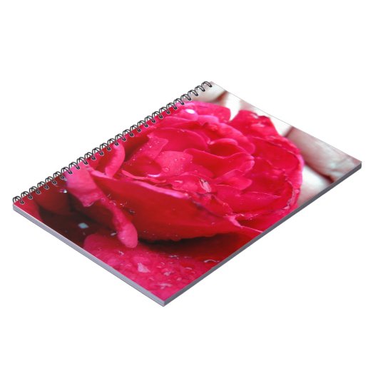 Carnet Rose rouge (Côté gauche)