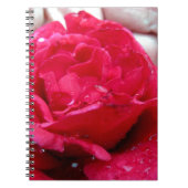 Carnet Rose rouge (Devant)