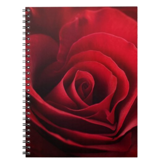 Carnet Rose rouge de Valentine (Devant)