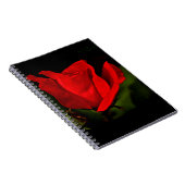 Carnet Rose rouge - Passion noire (Côté Droit)