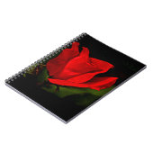 Carnet Rose rouge - Passion noire (Côté gauche)