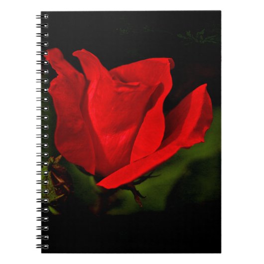 Carnet Rose rouge - Passion noire (Devant)