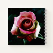 Carnet Rose rouge peinte à l'huile (Dos)