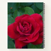 Carnet Rose rouge proche (Dos)