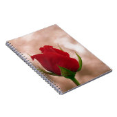 Carnet Rose rouge simple (Côté Droit)
