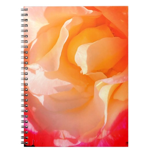 Carnet Rose rouillé (Devant)