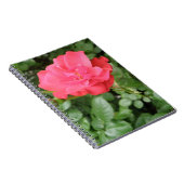 Carnet Rose sauvage (Côté Droit)