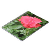 Carnet Rose sauvage (Côté gauche)