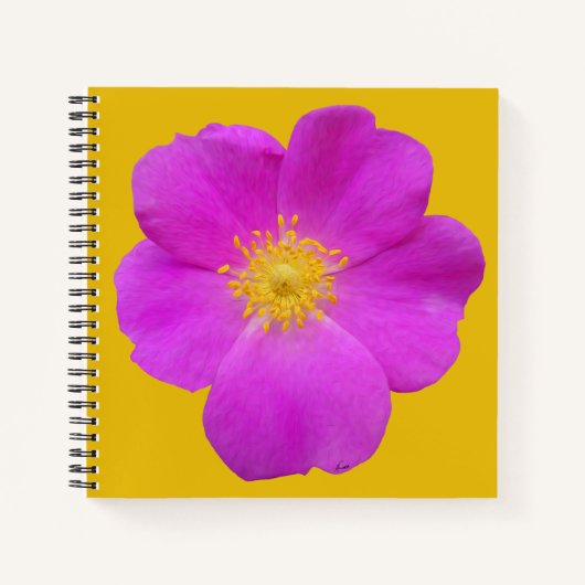 Carnet Rose sauvage 2 (Devant)