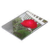 Carnet Rose Solo Rouge (Côté gauche)