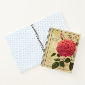 Carnet Rose Souvenir de la Malmaison (Intérieur)