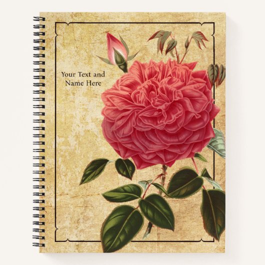 Carnet Rose Souvenir de la Malmaison (Devant)