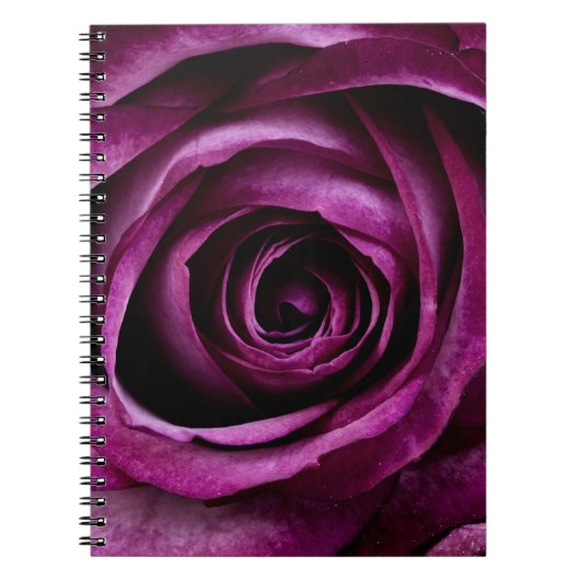 Carnet Rose Violette Élégante En Gros Plan (Devant)