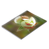 Carnet rosebud brillant (Côté gauche)