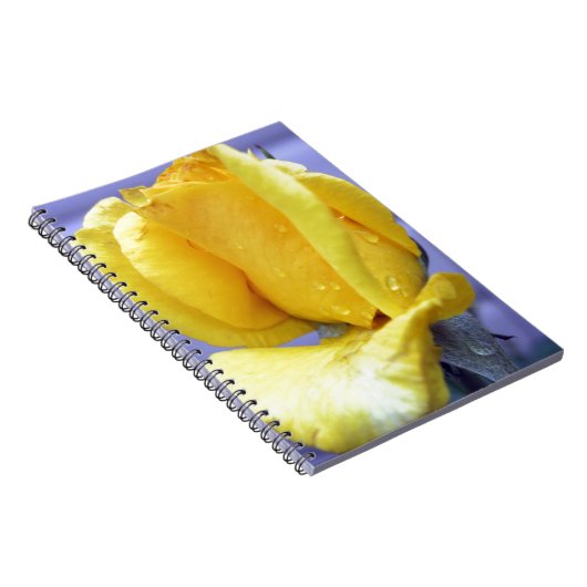 Carnet Rosebud jaune (Côté Droit)