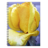 Carnet Rosebud jaune (Devant)
