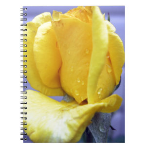 Carnet Rosebud jaune