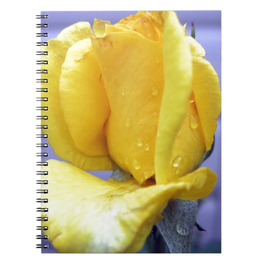 Carnet Rosebud jaune (Devant)