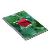 Carnet rosebud rouge (Côté Droit)