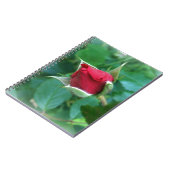 Carnet rosebud rouge (Côté gauche)