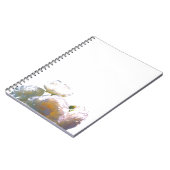 Carnet roses blanches élégantes pêche orange rougissant (Côté gauche)