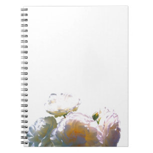 Carnet roses blanches élégantes pêche orange rougissant