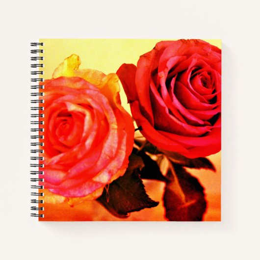 Carnet Roses brillants (Devant)