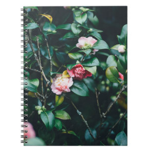 CARNET ROSES DANS LE JARDIN