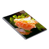 Carnet Roses de pêche par pays (Côté Droit)