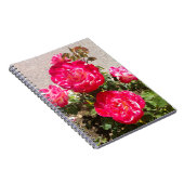 Carnet Roses du jardin rouge (Côté Droit)