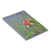 Carnet Roses Lavender Floral (my photography) (Côté Droit)