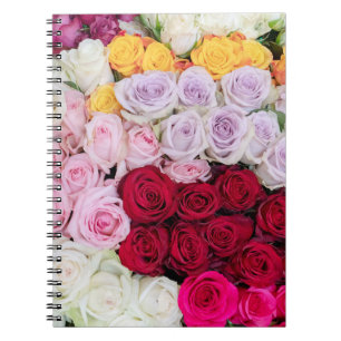 Carnet Roses Mixtes Colorées