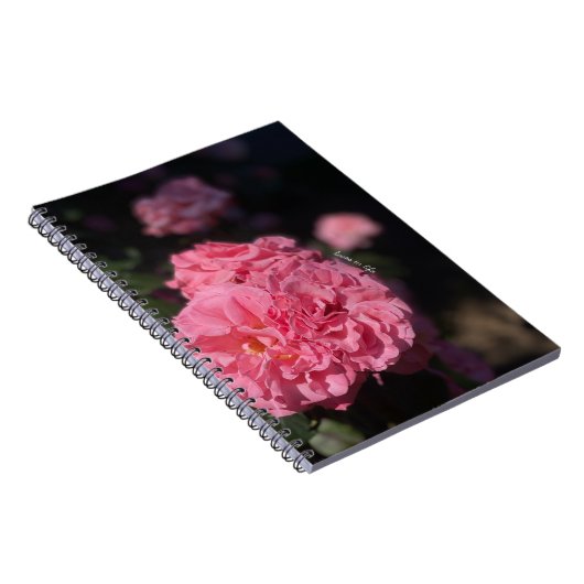 Carnet Roses roses (Côté Droit)
