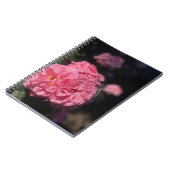 Carnet Roses roses (Côté gauche)