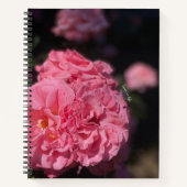 Carnet Roses roses (Devant)