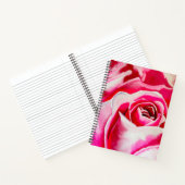 Carnet Roses roses rose aquarelle art (Intérieur)