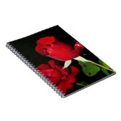 Carnet Roses rouges (Côté Droit)