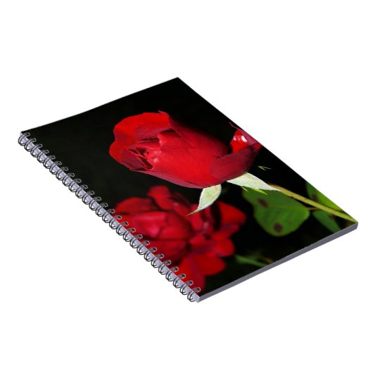 Carnet Roses rouges (Côté Droit)