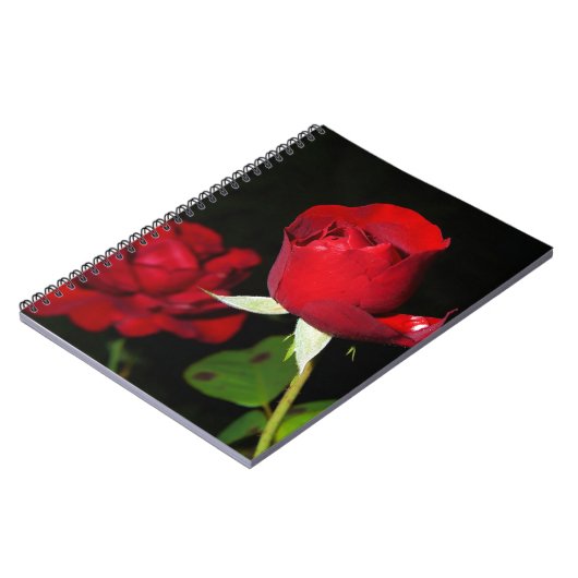 Carnet Roses rouges (Côté gauche)