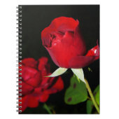 Carnet Roses rouges (Devant)