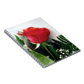 Carnet Roses rouges (Côté Droit)